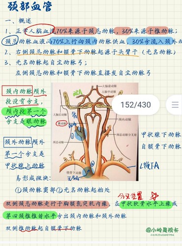 超声笔记医学超声诊断规培结业考手写超声笔记A4铜版纸复印纸打印 - 图2