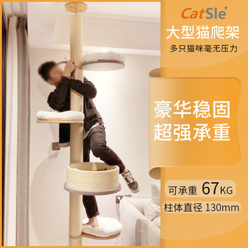 catsle猫抓柱猫爬架夏季实木豪华猫窝猫树通天柱一体大型猫咪用品 - 图0