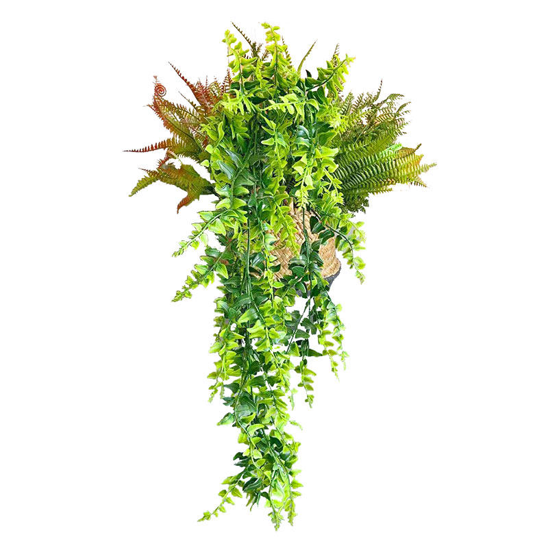 仿真蕨草波斯草把束假植物蕨类壁挂波斯草植物墙排草插花叶子装饰_虎窝淘