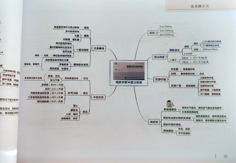 药师处方审核培训教材+临床常用药品思维导图 药店实用手册 配药基础训练速查速用常用疾病谱用药书籍药店卖药书药店员手册工具书
