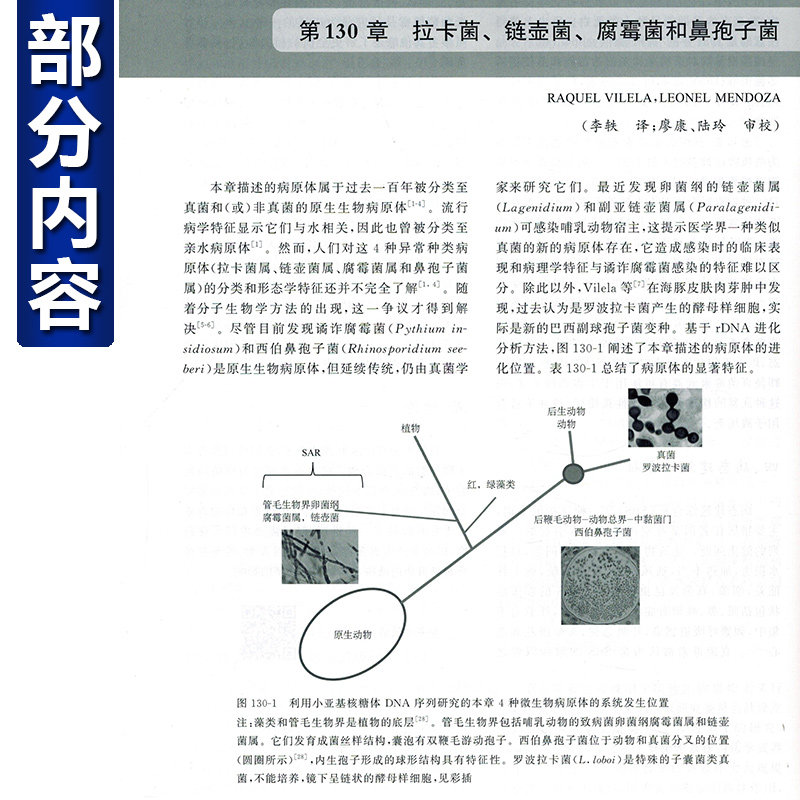 临床微生物学手册:第12十二版第二卷 王辉等译抗菌药物和敏感性试验方法 寄生虫学 临床医学检验检验技术中华医学电子音像出版社