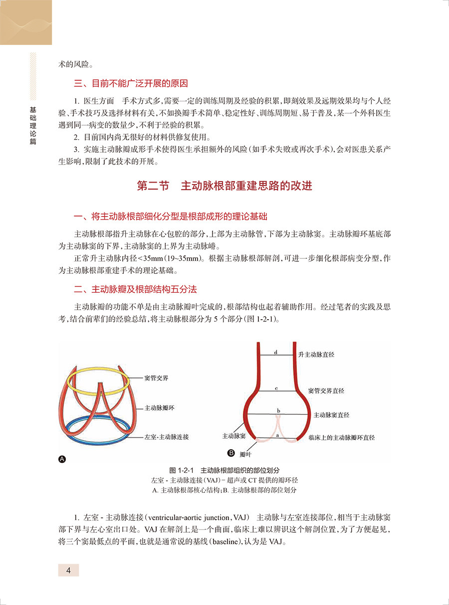主动脉根部重建 主动脉根部疾病的分型和相对应的手术治疗策略 手术视频  人卫版
