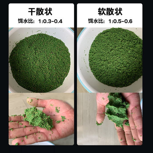 GW光威成功1号升级版散炮鲫鱼鲤鱼饵料黑坑罗非专用散炮打窝料 - 图1