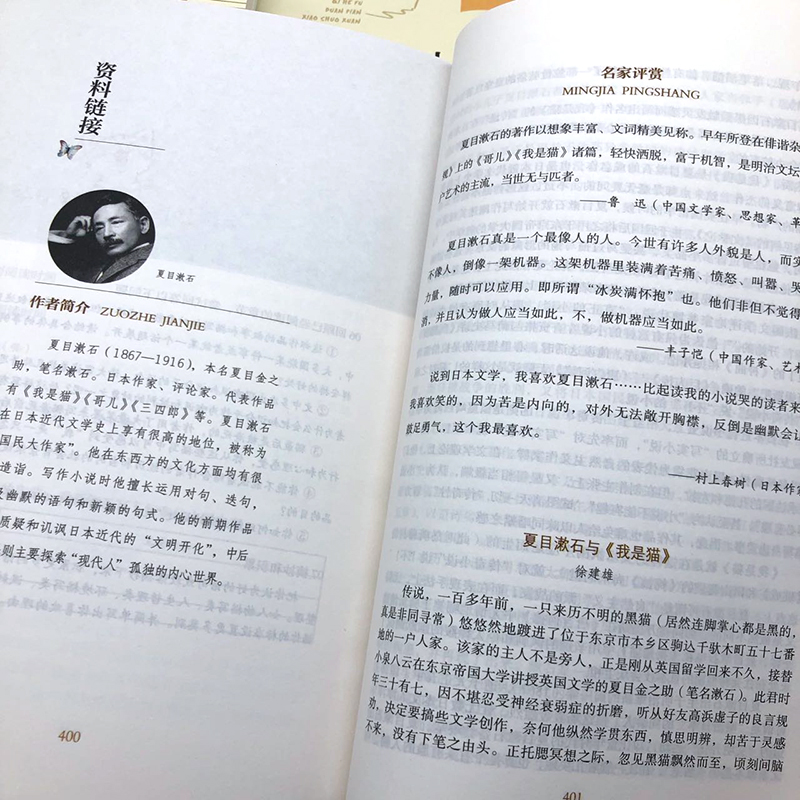 初中9九年级下册文学课外阅读书籍全套5本装简爱格列佛游记儒林外史契诃夫短篇小说选人教统编语文教材配套阅读人民教育出版社 - 图1