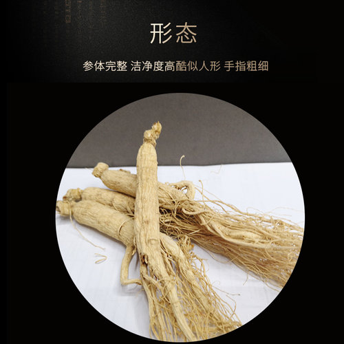 长白山干人参生晒白参整支新鲜野山参泡酒20个250g礼盒装东北特产 - 图2