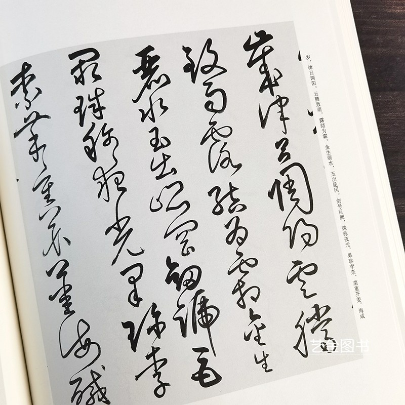 草书千字文 明清祝允明王宠董其昌傅山弘历黄宾虹草书千字文字帖简体注释名家毛笔书法字帖草书墨迹版千字文临摹字帖广西美术出版 - 图3