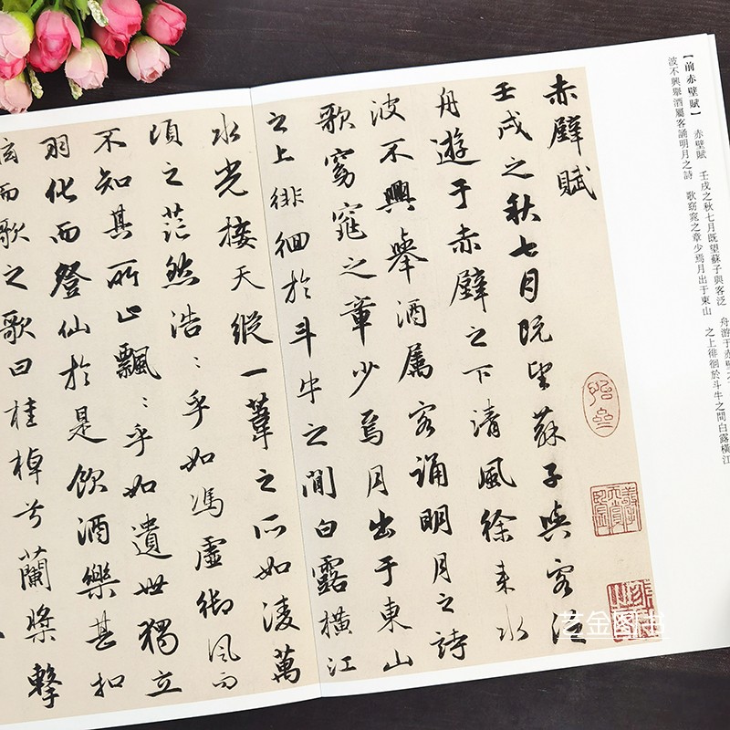 共5本 赵孟頫洛神赋前后赤壁赋+行书入门教程 原碑帖书写教程名师视频教学基本笔画偏旁部首写法结构章法赵孟頫书法入门教程