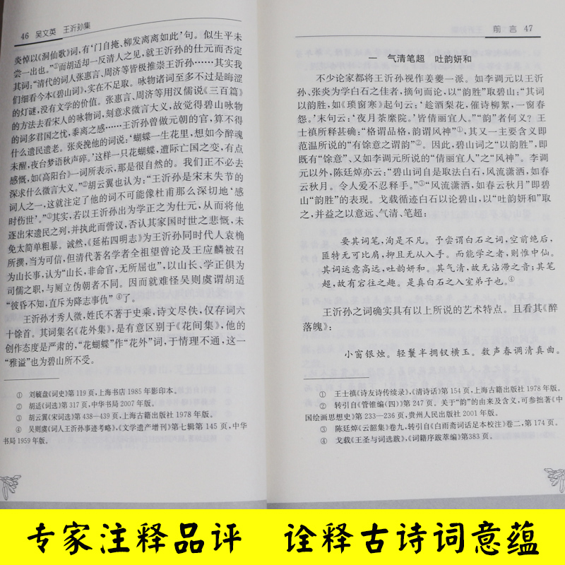 吴文英王沂孙集(历代名家精选集) 中华古代诗词原文注释鉴赏中国古典文学书籍文史哲普及读物 凤凰出版社官方旗舰店 新华书店正版 - 图0