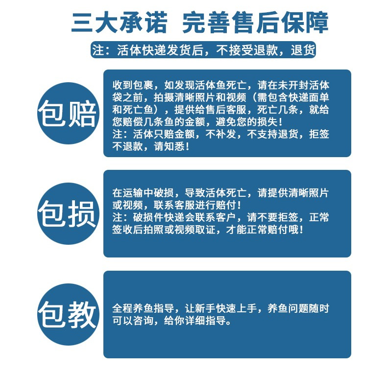 金苔鼠鱼清道夫淡水鱼清洁鱼热带鱼观赏鱼垃圾鱼好养除藻鱼工具鱼 - 图1