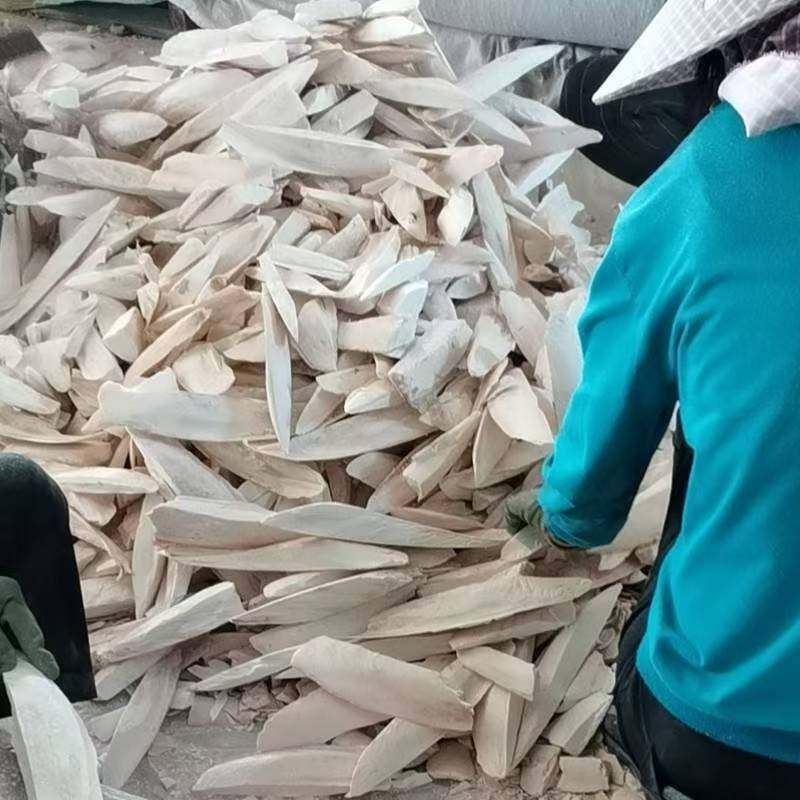 墨鱼骨鹦鹉专用新纯手工晾晒货海螵蛸虎皮龟松鼠补钙墨鱼骨宠物,淘宝优惠券,粉丝福利购,淘宝优惠卷