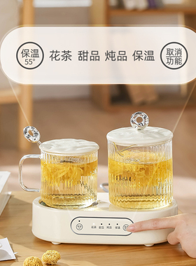 养生壶多功能办公室分体煮茶器炖煮花茶高硼玻璃杯烧水壶恒温礼品