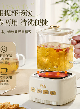 养生杯壶家用多功能耐高温玻璃煮茶器烧水壶办公室小型迷你花茶壶