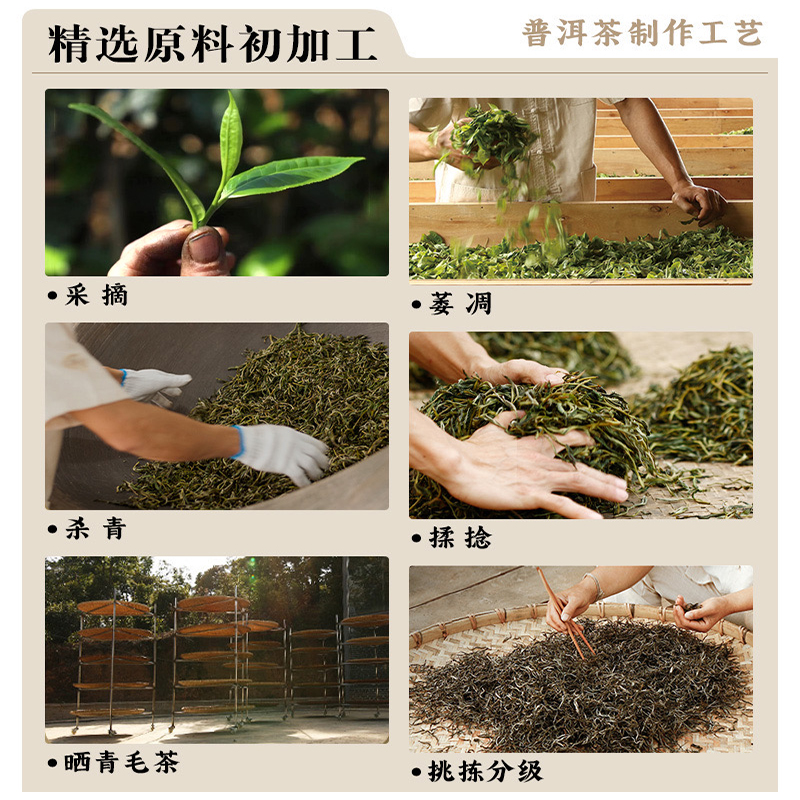 【布朗山红印熟茶】普洱茶收藏古树云南七子饼紧压茶叶357g - 图0