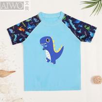Child Bathing Suit Single Blouse Boy Split Mid-Boy Little Dinosaur Sunscreen Sunbathing Suit Little Kids Speed Dry Swimsuit
