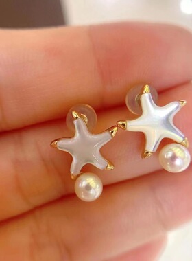 纯银贝壳海星轻奢耳钉耳饰