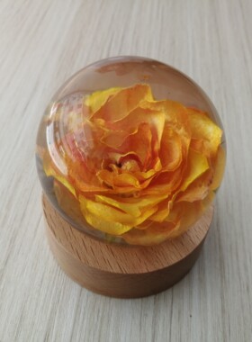 树脂永生花昆虫魔方简约现代书房