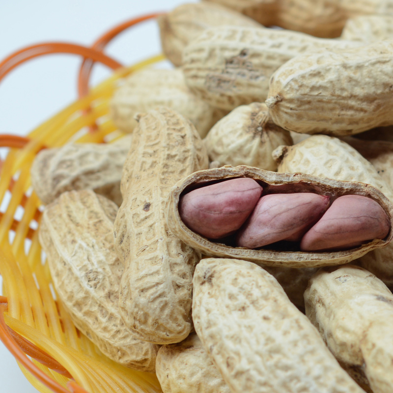 红丰亮陈皮花生客家土特产红裕丰甜酒花生农家乡下咸干蒜香味花生 - 图2