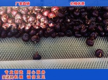 Guangxi Guangdong Hubei Full stainless steel square pipe horseshoe cleaner horseshoe depuree water chestnut cleaning machine water chestnut cleaner