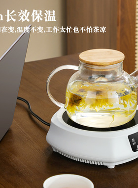 静音迷你电陶炉煮茶烧水炉锅一体