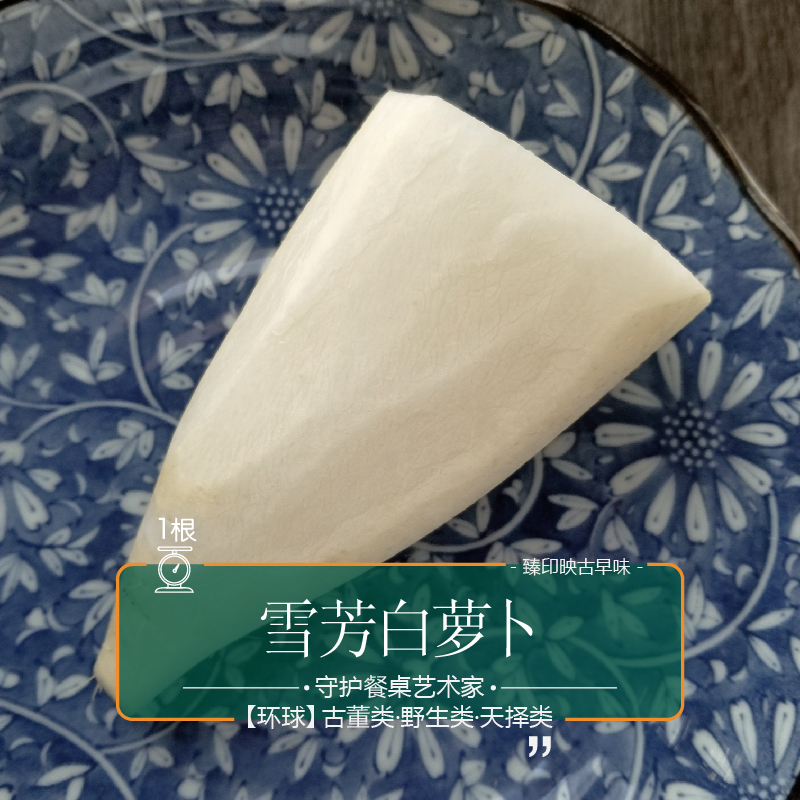臻印映夏雪芳白萝卜天养自然生长清甜无渣去热火养生煲汤约1斤/个,淘宝优惠券,粉丝福利购,淘宝优惠卷