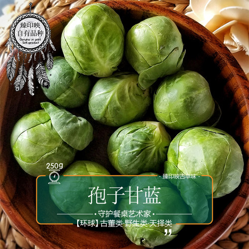 臻印映鲜抱子甘蓝孢子甘蓝小包菜护胃生食营养健康非冷冻脆嫩可口 - 图0