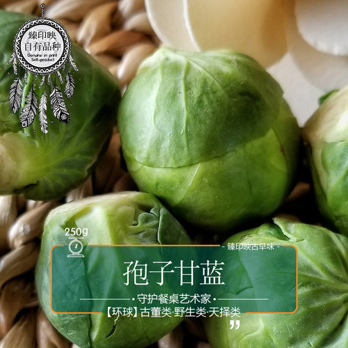 臻印映鲜抱子甘蓝孢子甘蓝小包菜护胃生食营养健康非冷冻脆嫩可口 - 图1
