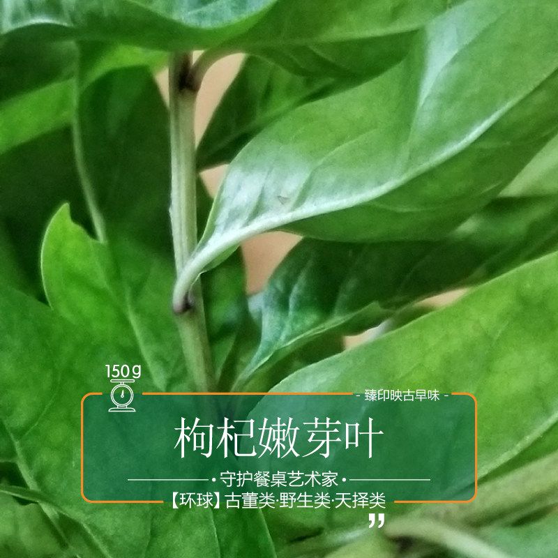 臻印映枸杞嫩芽叶春生天精草胜似野生超越有机天生天养汤润滑甘美_虎窝淘