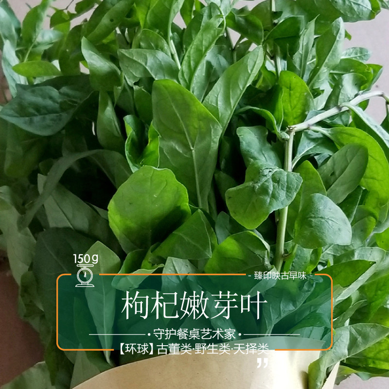臻印映枸杞嫩芽叶春生天精草胜似野生超越有机天生天养汤润滑甘美_虎窝淘