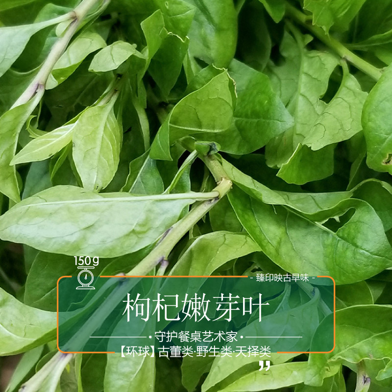 臻印映枸杞嫩芽叶春生天精草胜似野生超越有机天生天养汤润滑甘美_虎窝淘