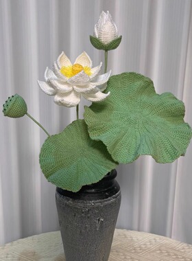 手工钩织DIY材料包荷花荷叶寓意阖家幸福永生花解闷送礼物
