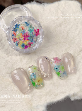 网红莫奈花园系列干花美甲饰品
