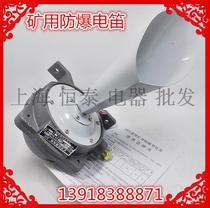 Authentic mining explosion-proof electric flute DDKB-1 coal mine electric flute DDB AC220V AC127V 2 voltage