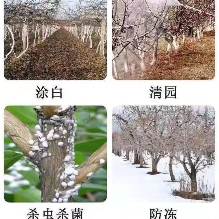 硫黄驱虫粉农业果树清园蔬菜大棚防虫粉土壤改良户外驱蛇粉 - 图1