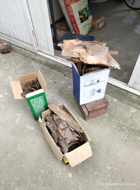 随机发货的树皮粗糙树皮大小不一