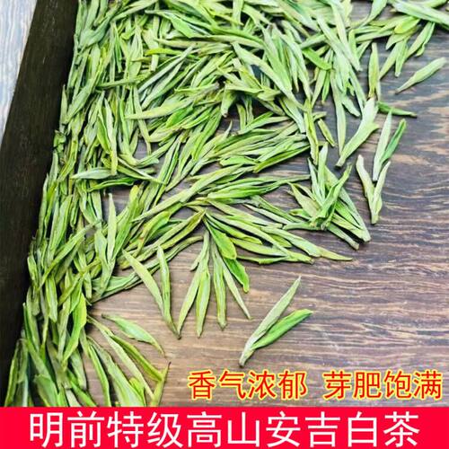 安吉白茶明前特级2026年新茶250克春茶原产地白茶茶叶绿茶 散装 - 图0