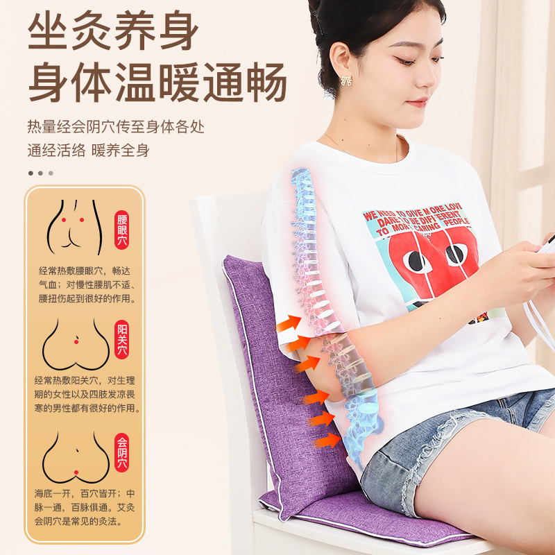 电加热艾绒艾灸坐垫屁垫靠背一体办公室久坐熏蒸座椅艾草垫子冬季