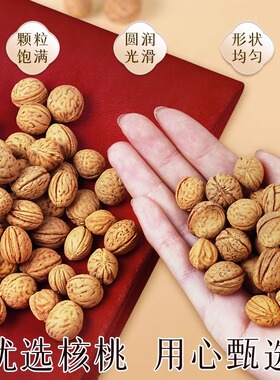 山核桃甩袋拍打袋甩背通经络神器