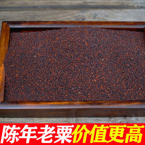 广西陈年粟米粟粉种子拳头粟龙爪鸭脚粟掺子婴儿枕头红啤米杂粮粥 - 图1