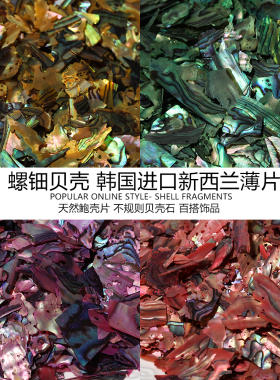 天然贝壳韩国进口新西兰薄片