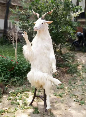 一比一仿真山羊拟人摆件