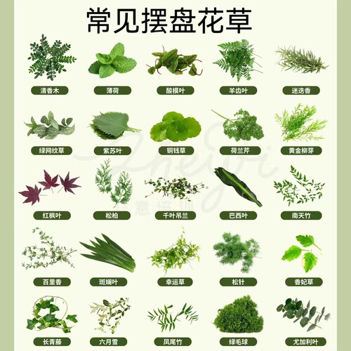 新鲜摆盘装饰花草 可食用三色堇迷迭香薄荷叶芽头千叶吊兰食用花 - 图2