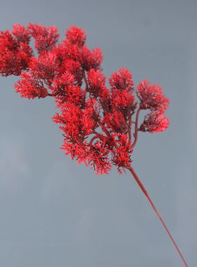 枫桥苑仿真崖柏量大从优塑料松枝