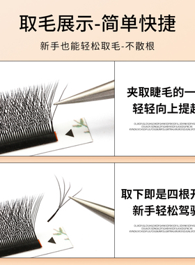 四叶草D系列狐系L翘度