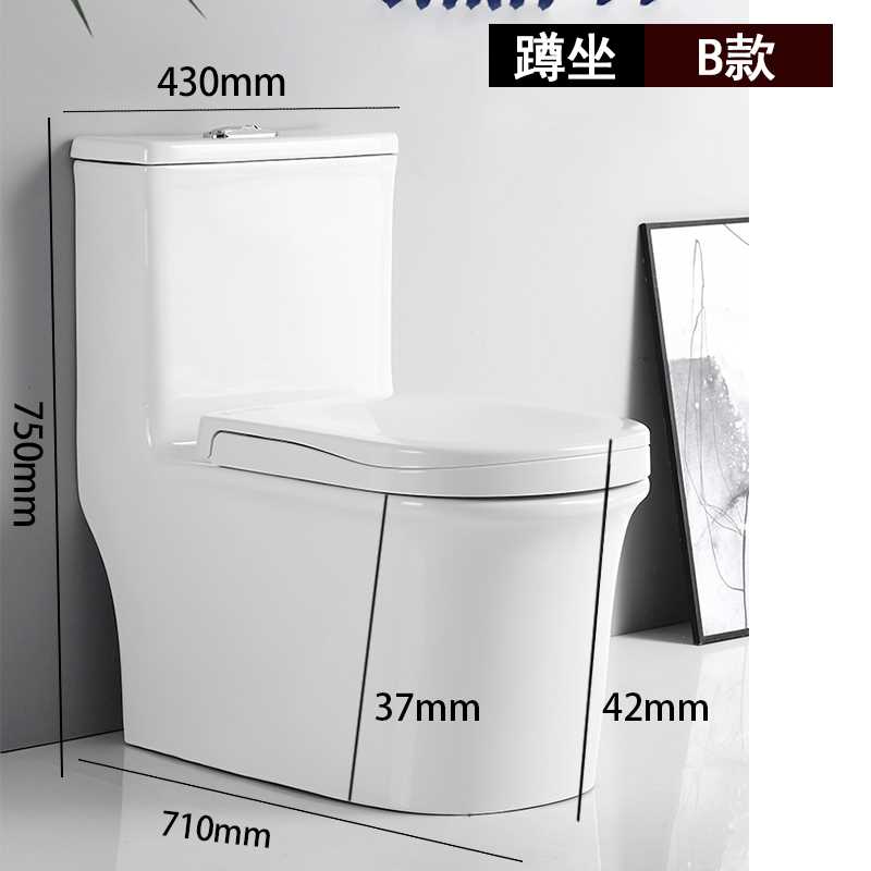 家用新款蹲坐两用马桶一体式可蹲可坐连体二合一陶瓷坐便器虹吸式-图2