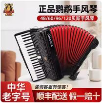 Parrot Accordion Instruments Adult Begs specialties 60 96120 Children 48 bass playing starter accordion