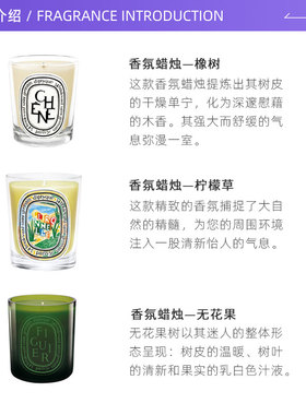 蒂普提克香薰蜡烛190/300g