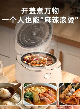 松下电饭煲小饭搭1-2人