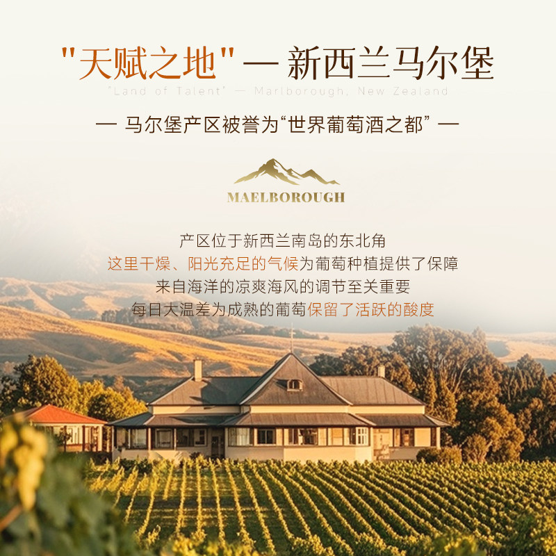 【自营】新西兰进口马尔堡长相思干白葡萄酒女士微醺果酒赠香槟杯,淘宝优惠券,粉丝福利购,淘宝优惠卷