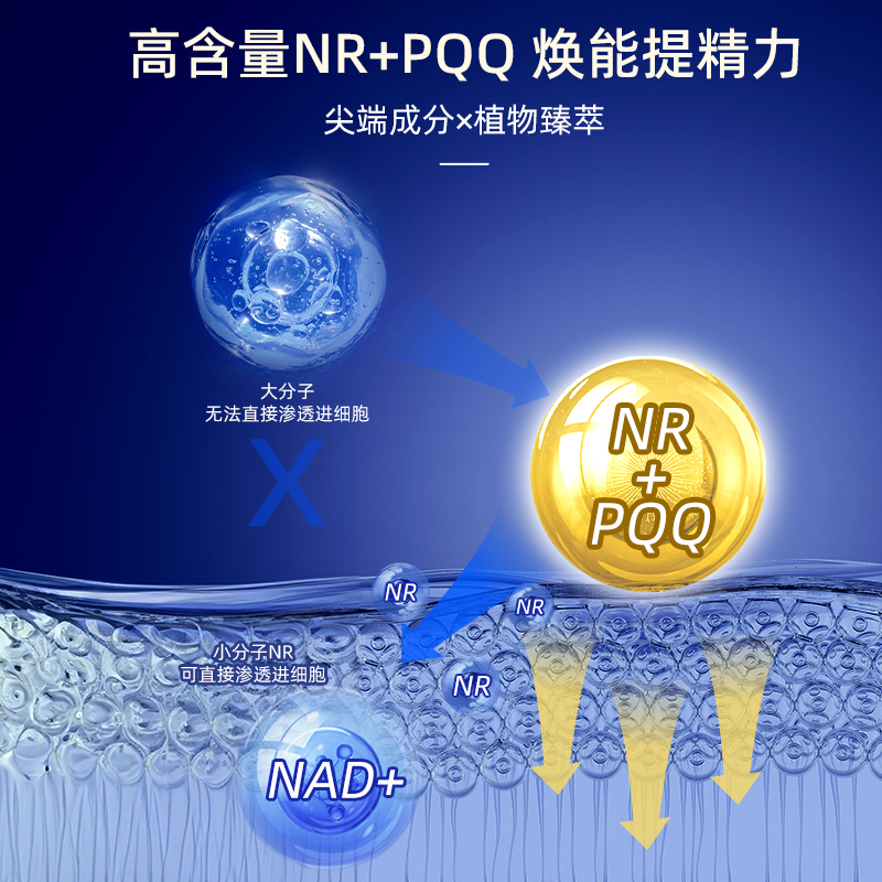 【自营】双瓶装信心康乐nrmax18900复合片NR+PQQnmn美国原装nad+ - 图0