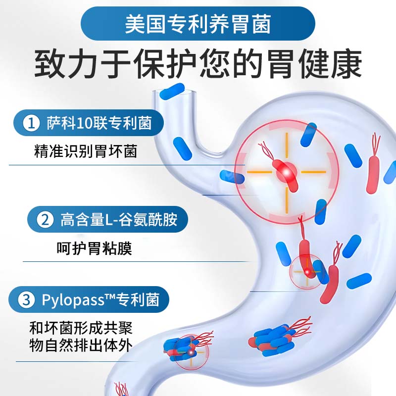 【自营】Vinsic文斯可养胃护胃益生菌成人儿童改善肠道胃不适体质 - 图1